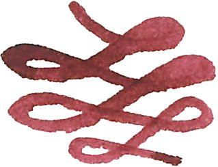 Sailor Manyo Ink Set 3