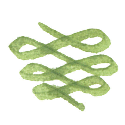 Sailor Manyo limited Tinte - Nobiru
