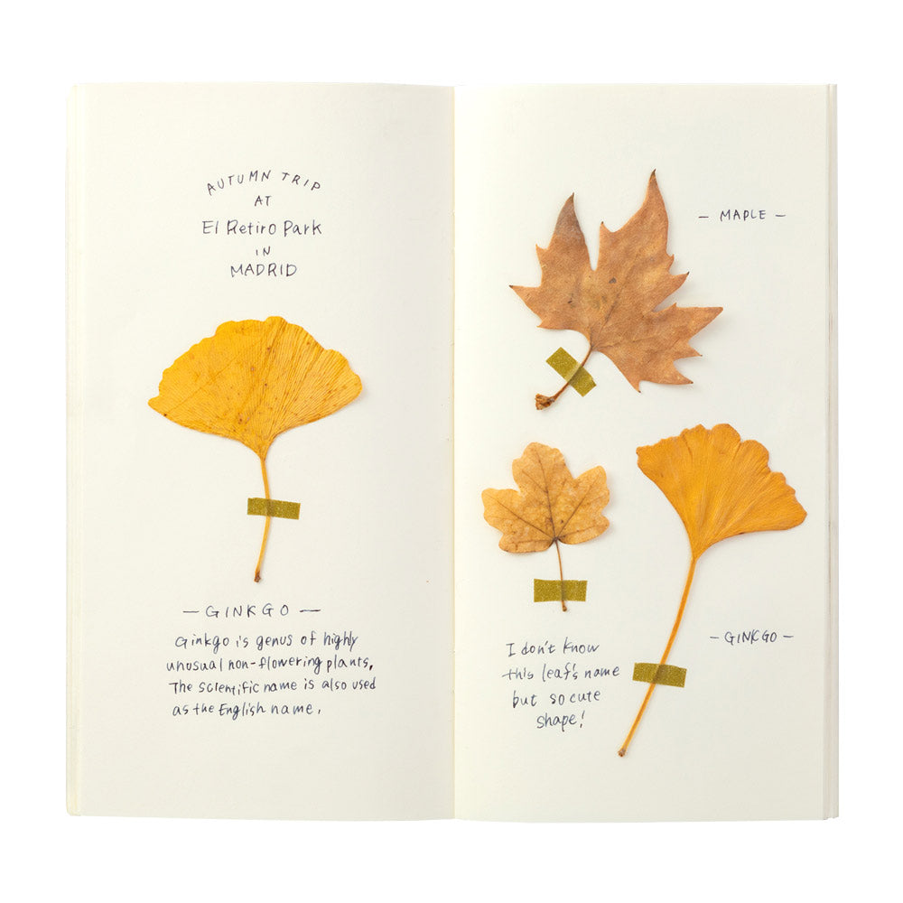 Traveler's Notebook Company - Midori Papier Refill Cream (025)