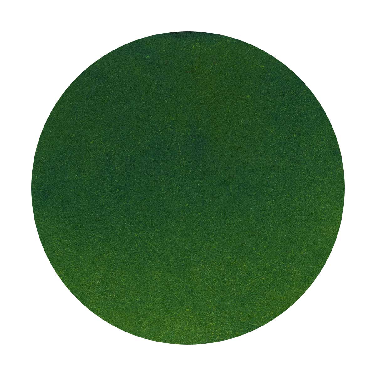 Kobe Ink No. 19 Minatogawa Lime