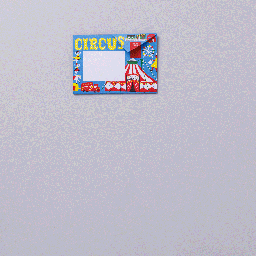 Pigeon - Circus Briefset