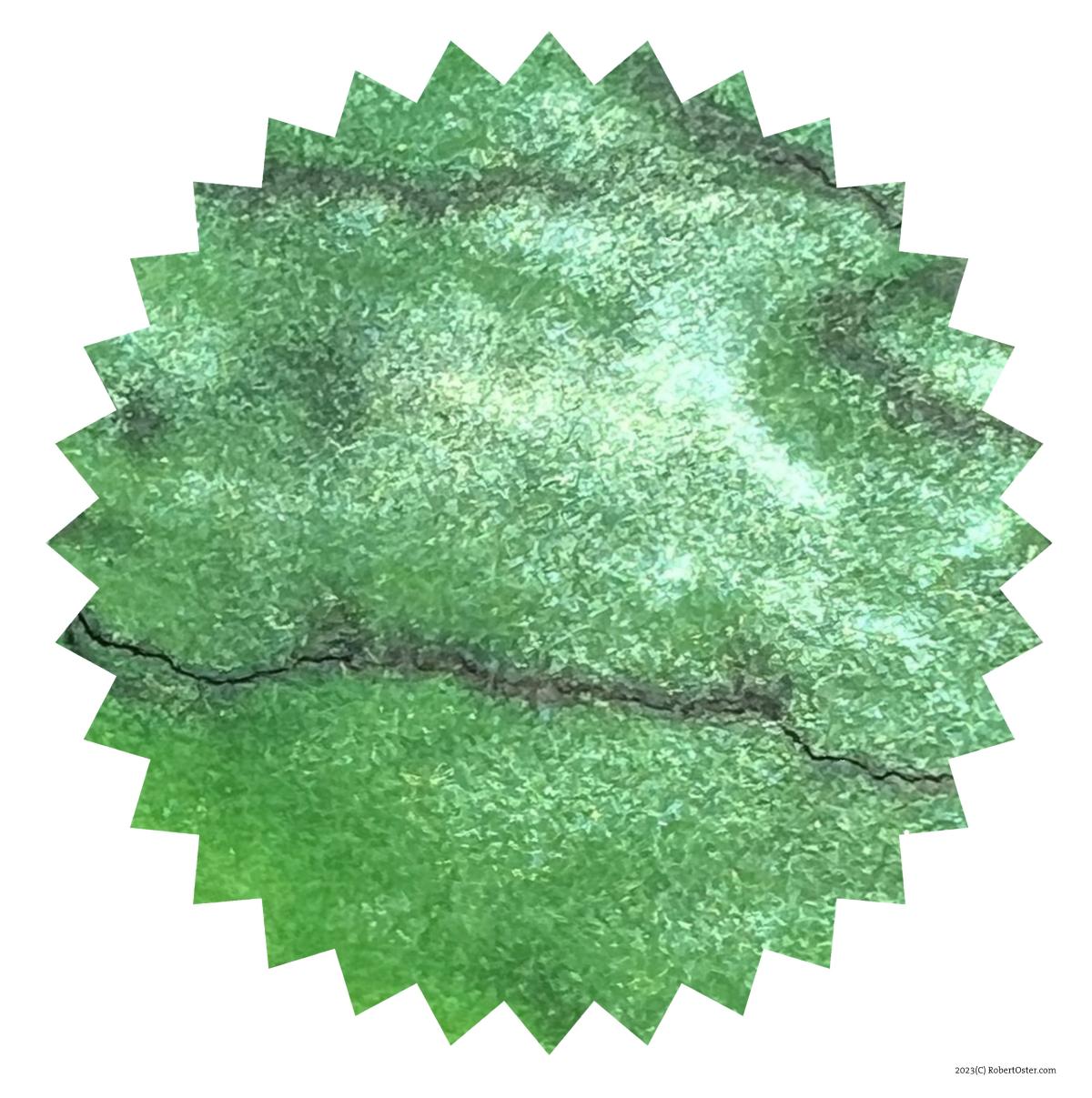 Robert Oster - Green Lady (Shake'n'Shimmy)