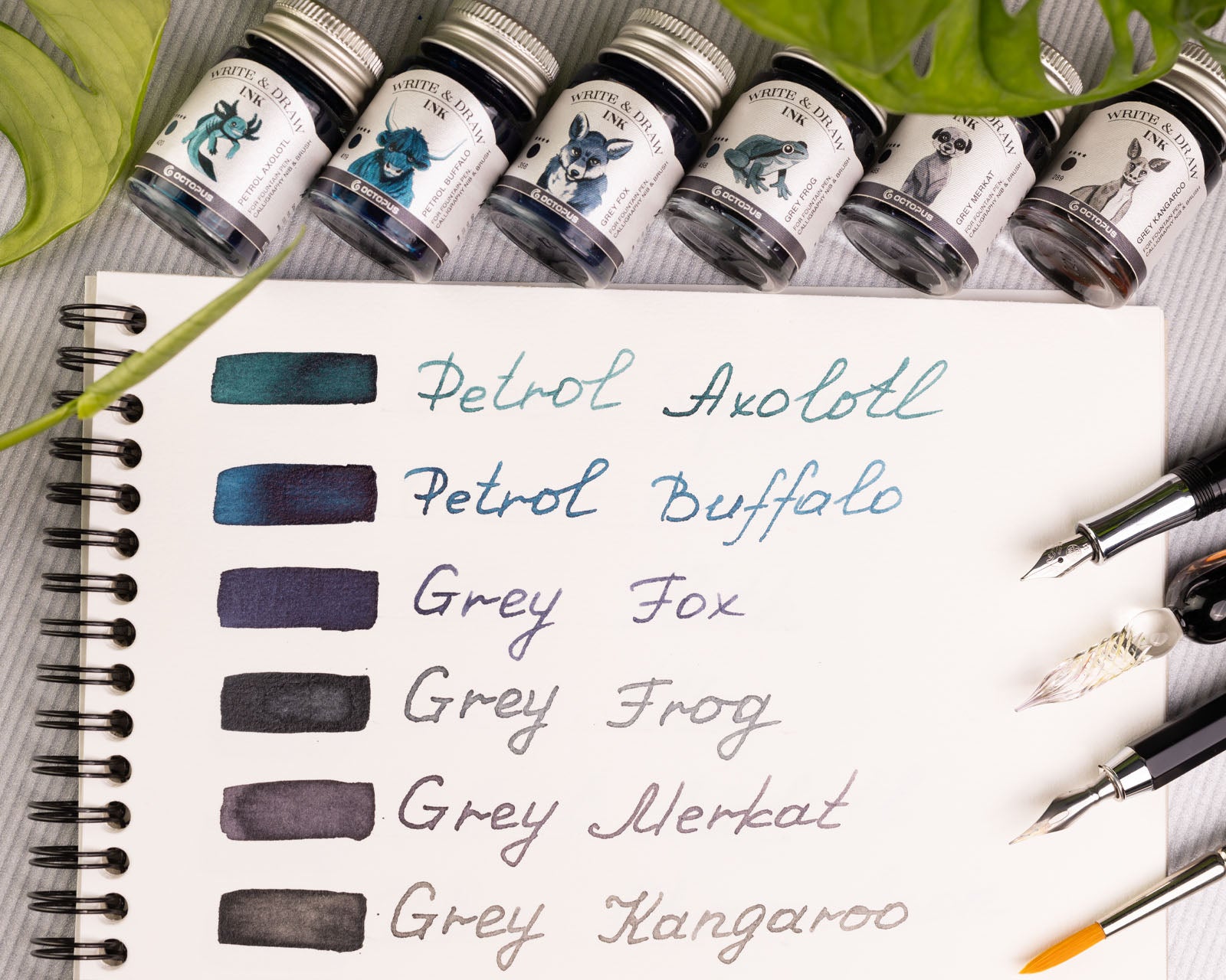Octopus - Write and Draw - Mountain ink set