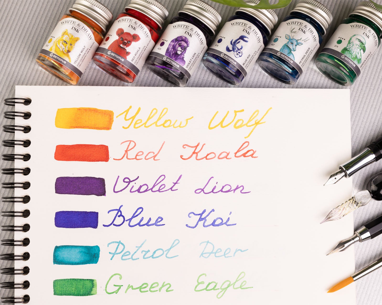 Octopus - Write and Draw - Tintenset Rainbow