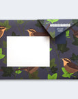 Pigeon - Robin and Wren Briefset