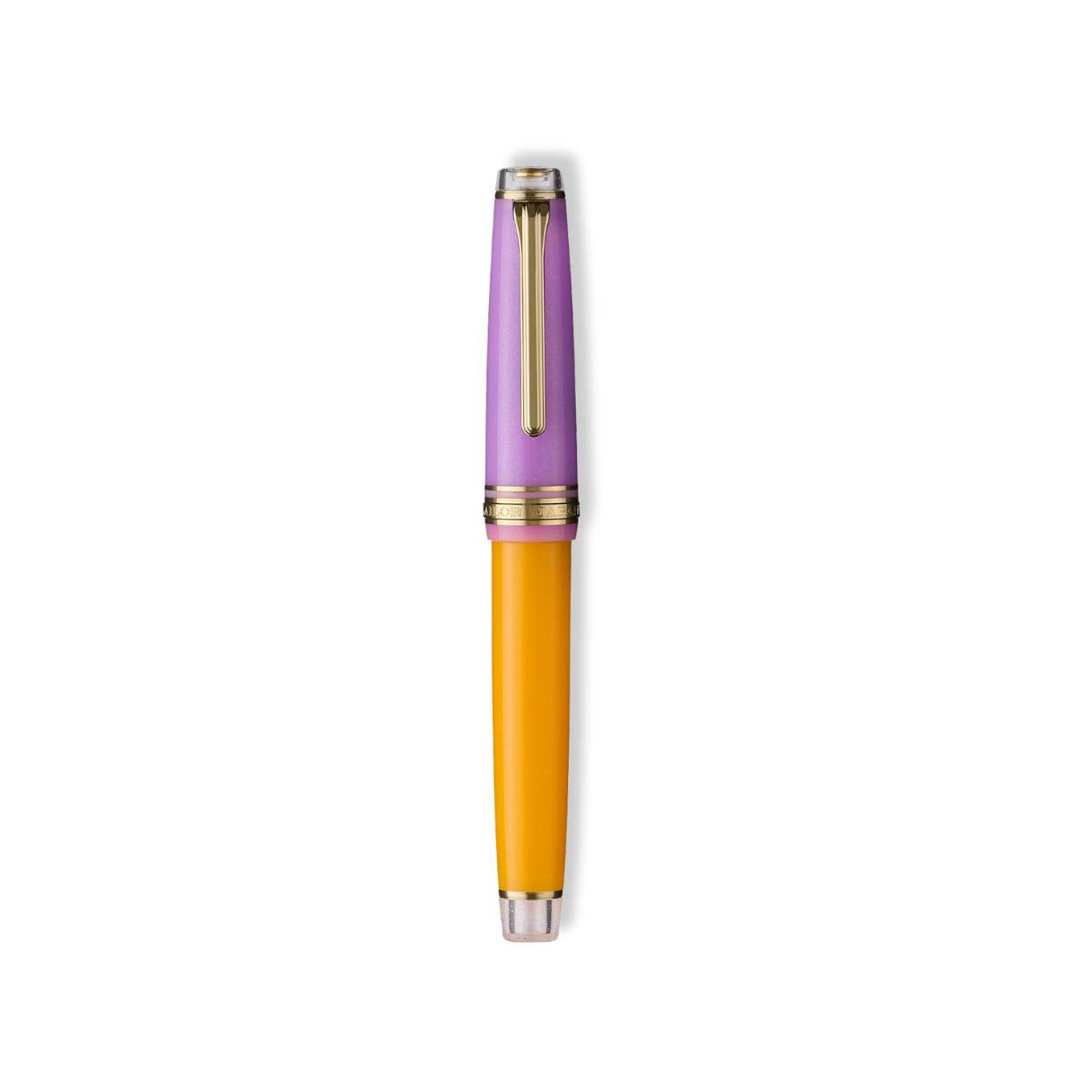 Sailor Pro Gear Fountain Pen - Acai Berry (Smoothie 2nd Edition)