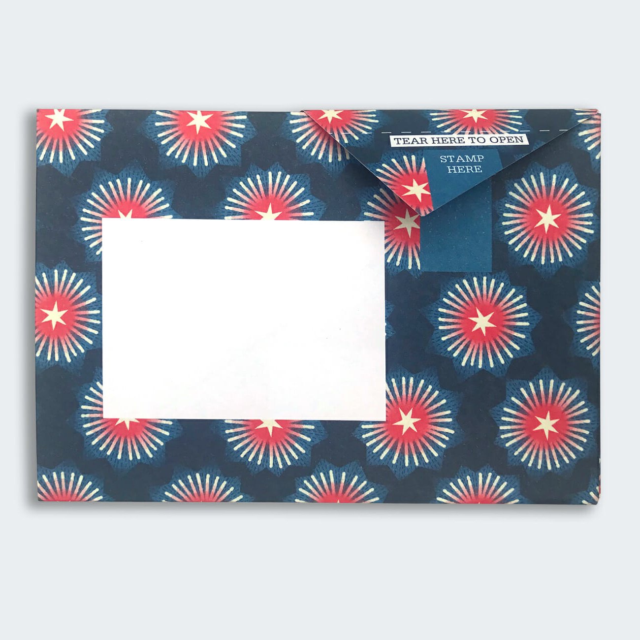 Pigeon - Starburst Briefset