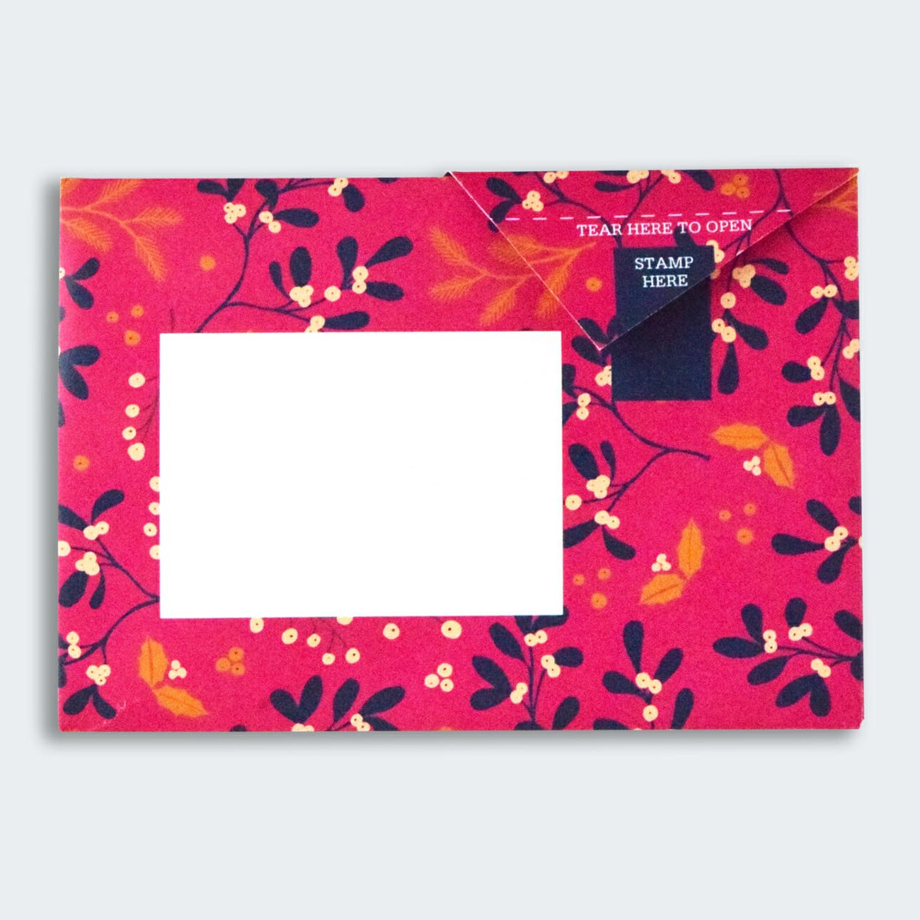 Pigeon - Winter Berries Briefset