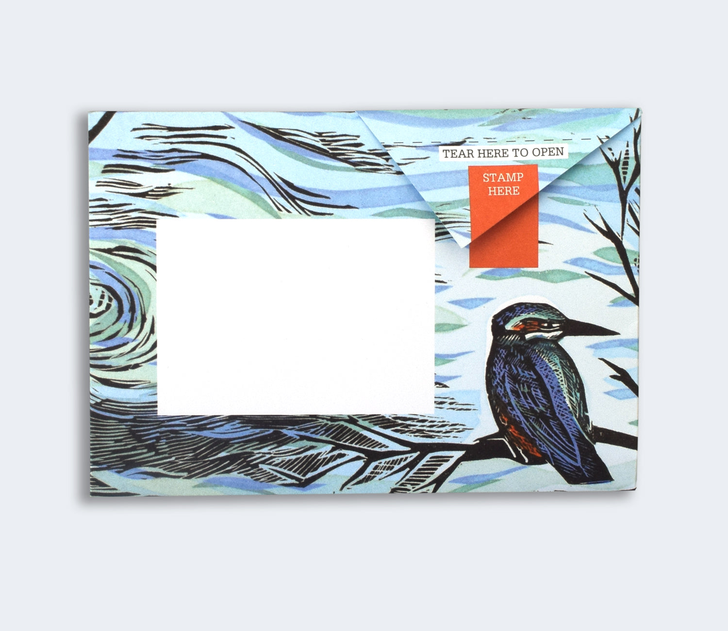 Pigeon - Wonderfully Wild Briefset