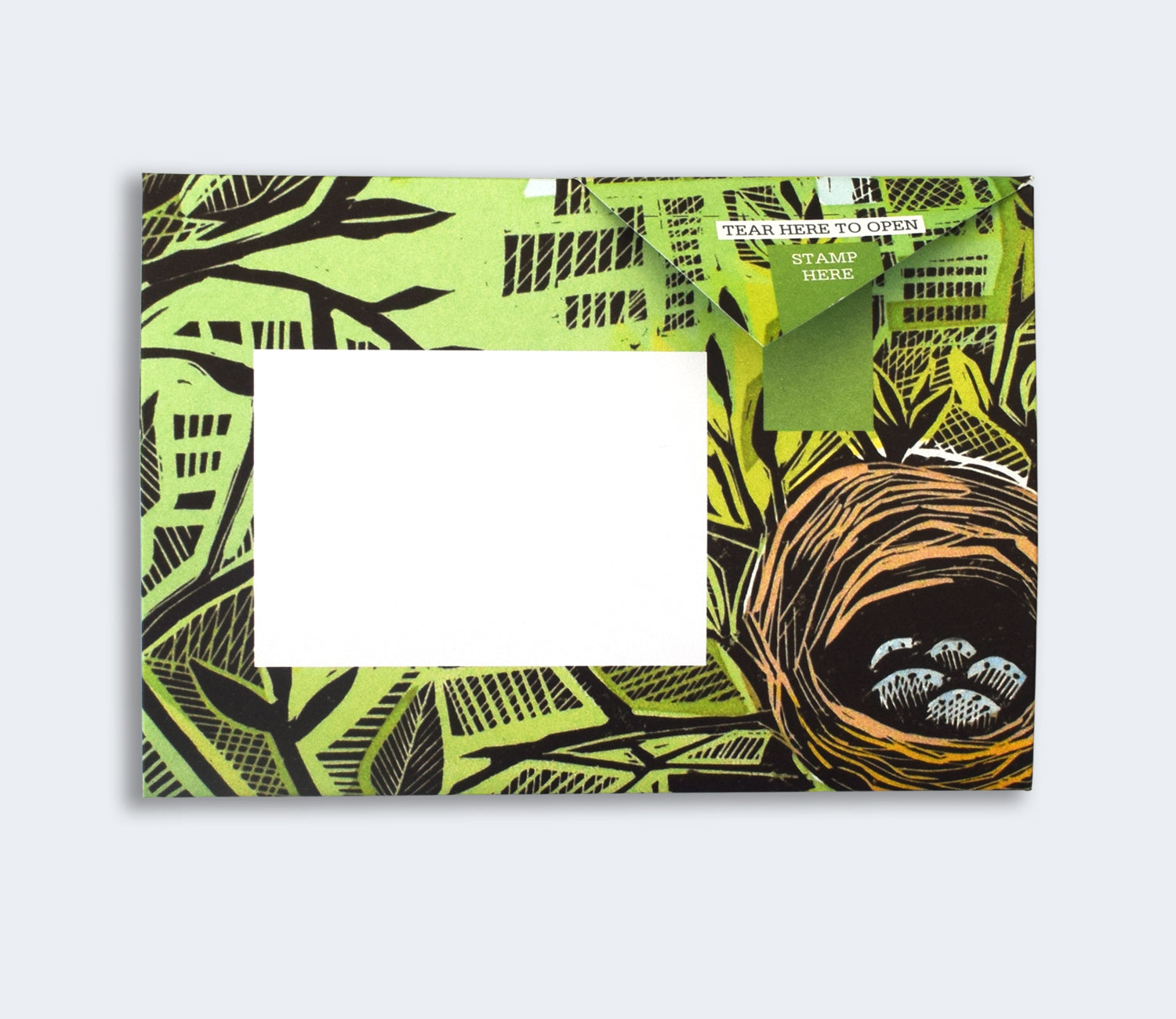 Pigeon - Wonderfully Wild Briefset