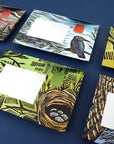 Pigeon - Wonderfully Wild Briefset