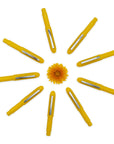 Penco mechanical pencil Bullet Pencil