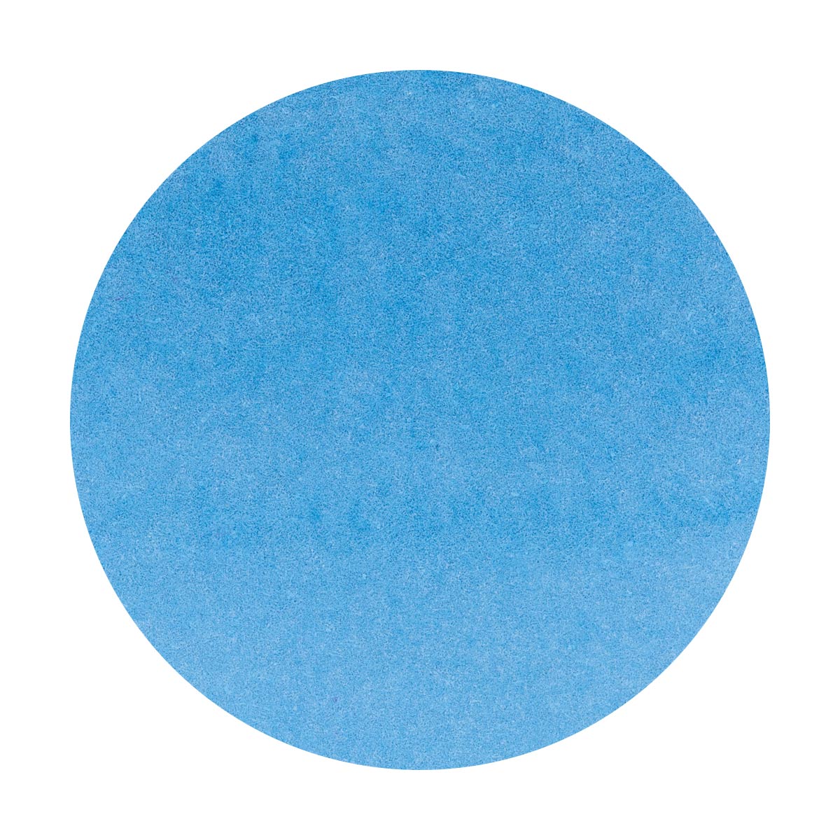 Octopus - Write and Draw - Blue Sloth