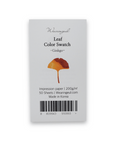 Wearingeul - Tintenswatch-Karten Ginkgo