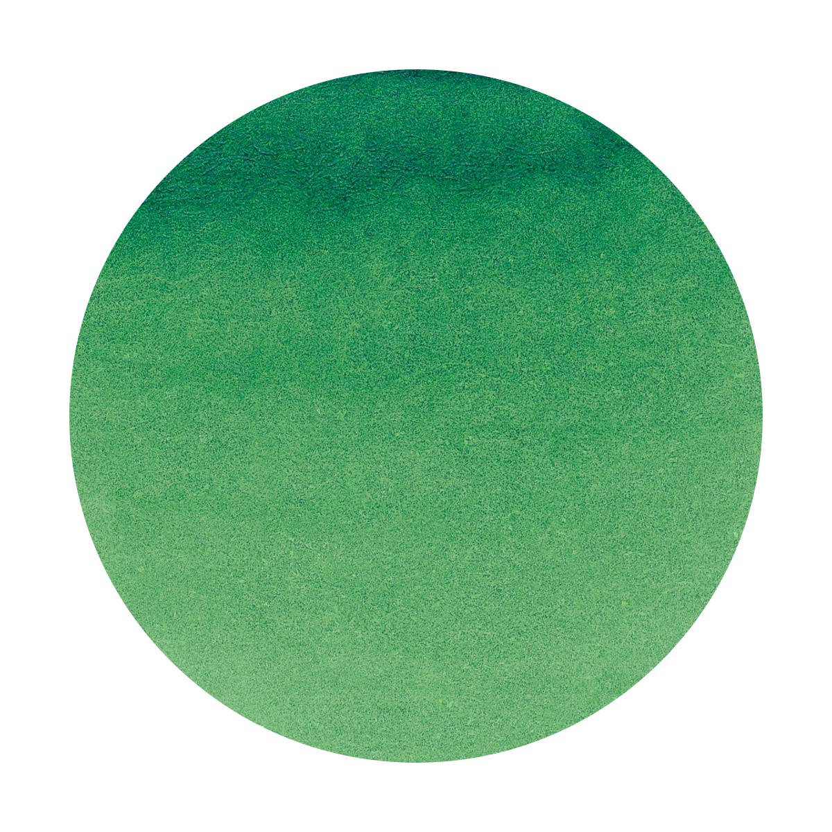 Octopus - Write and Draw - Green Eagle