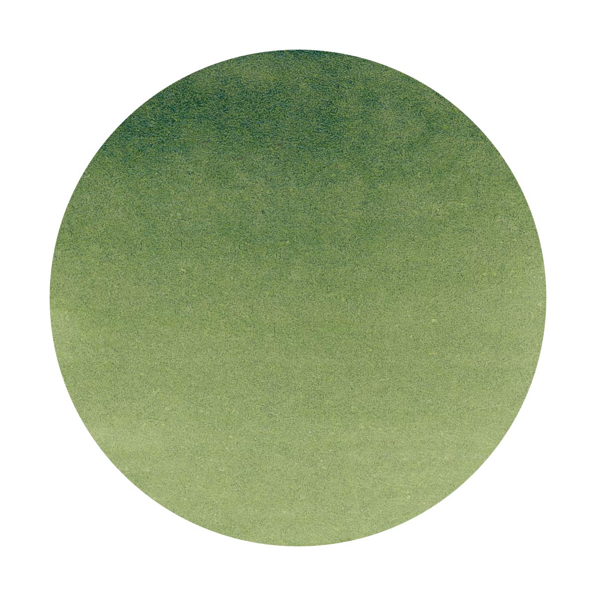 Octopus - Write and Draw - Green Ostrich