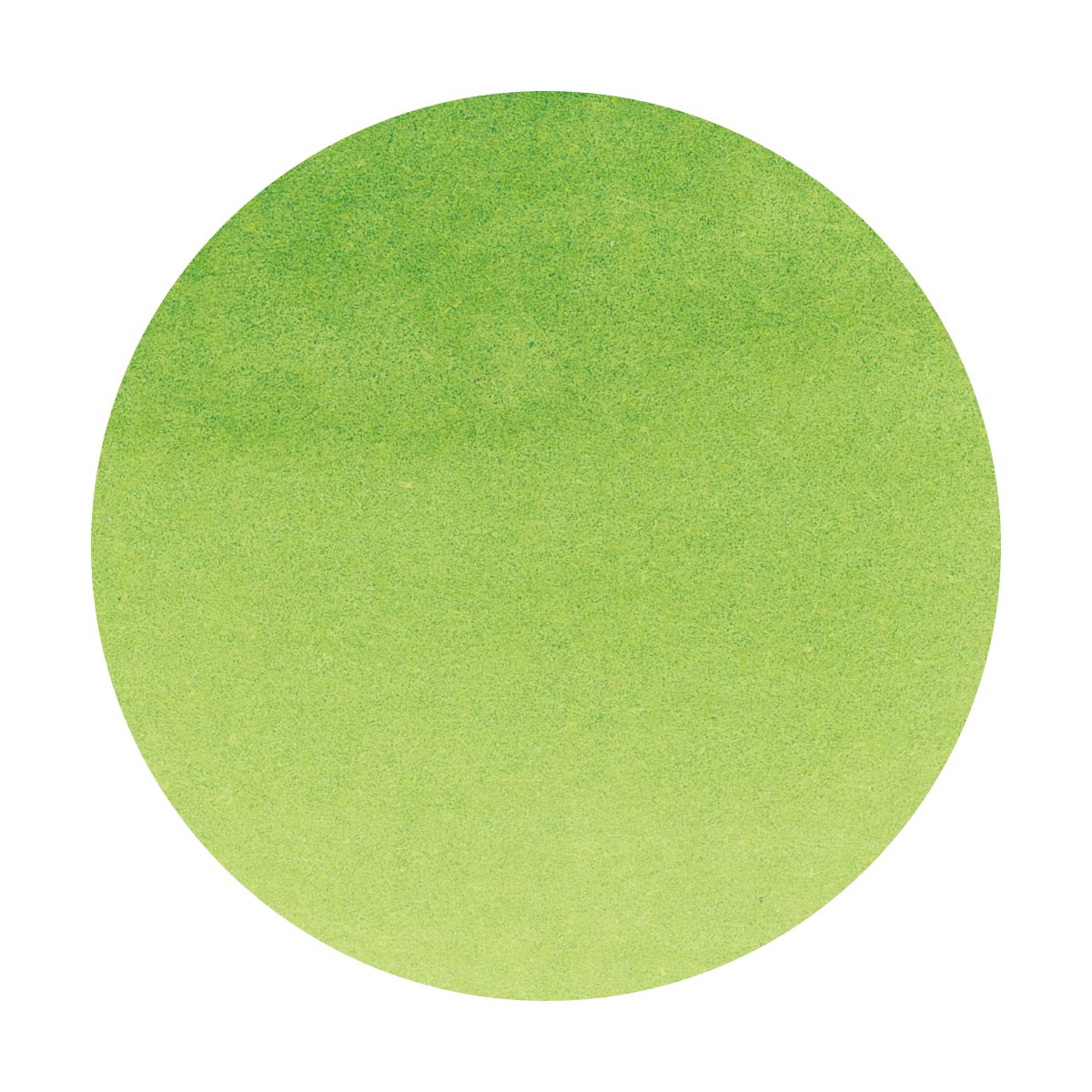 Octopus - Write and Draw - Green Panda