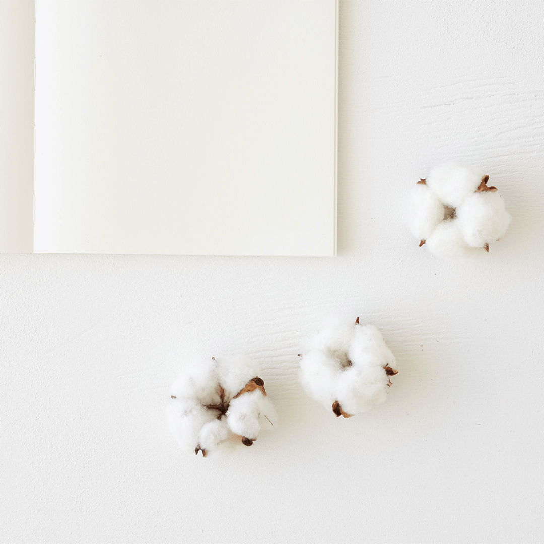 Midori - Notebook A5 Cotton