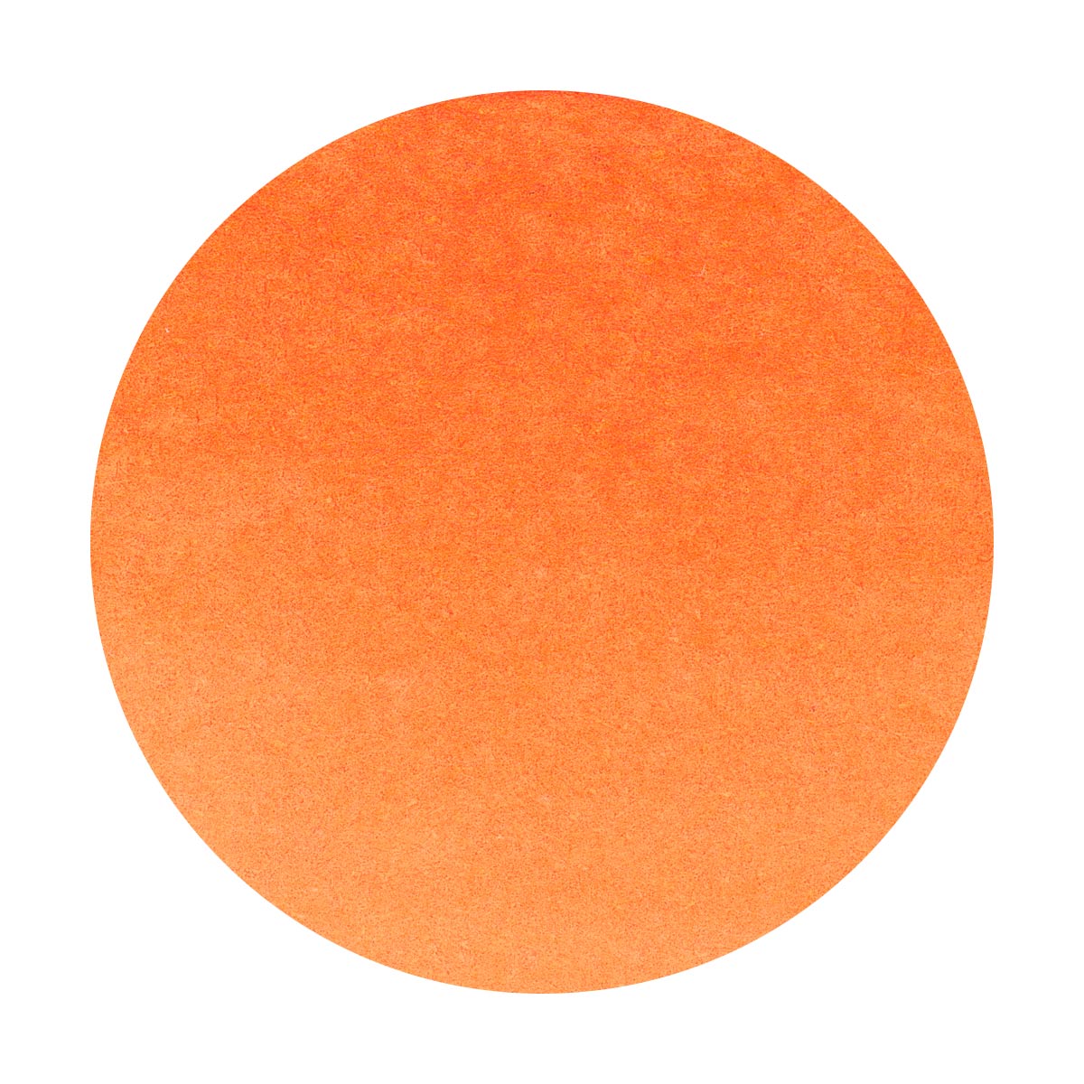 Octopus - Write and Draw - Orange Monkey