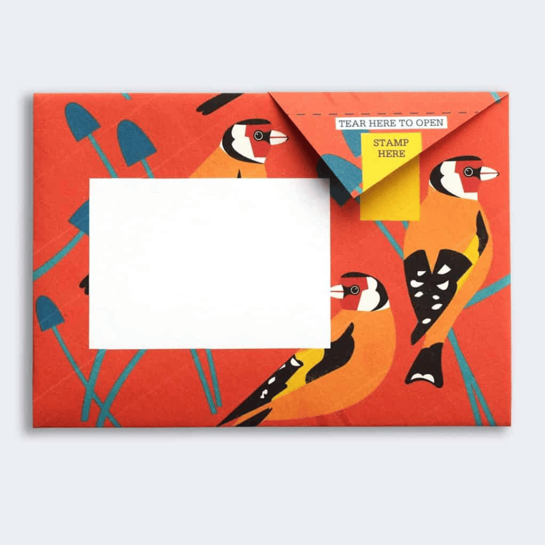 Pigeon - Dawn Chorus Briefset