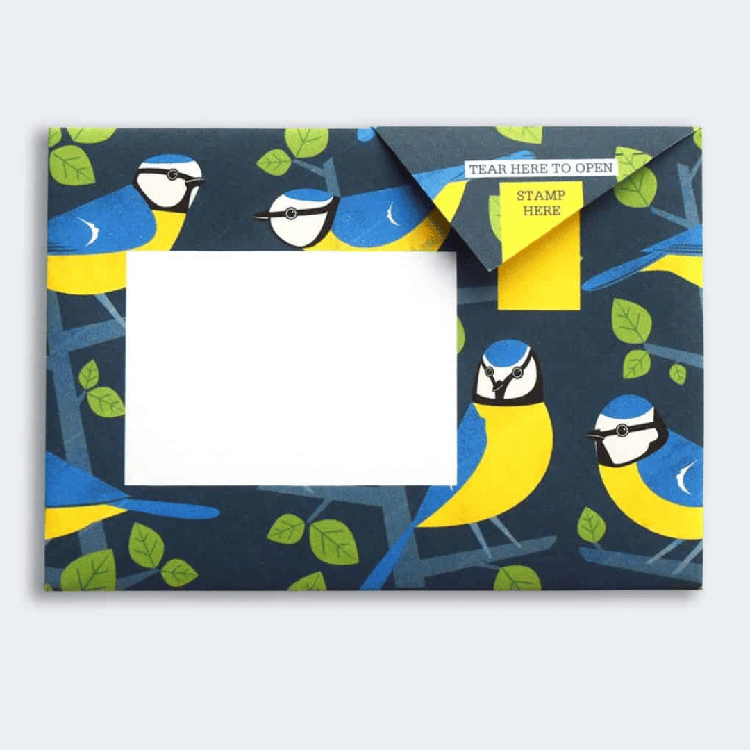 Pigeon - Dawn Chorus Briefset