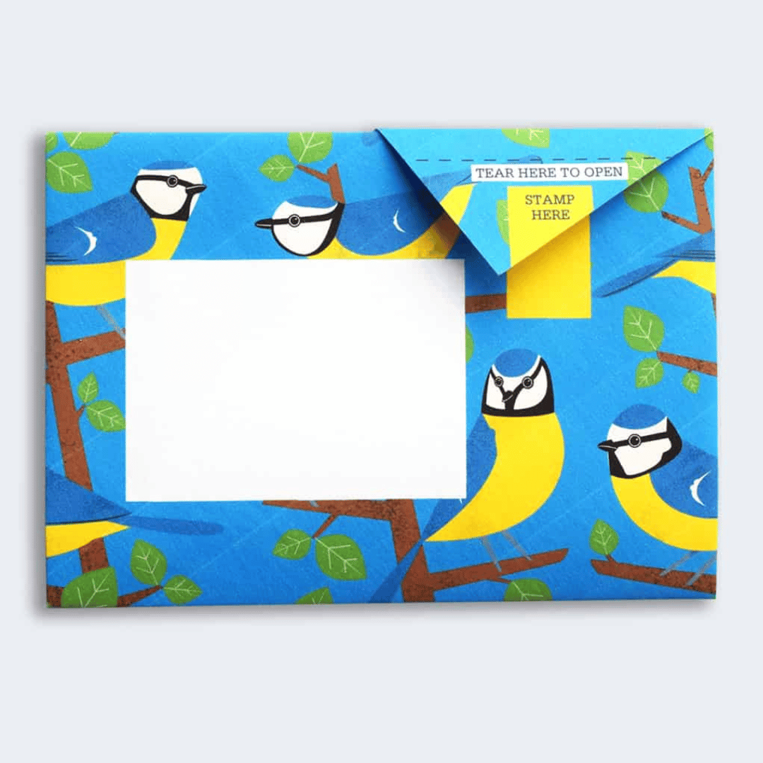 Pigeon - Dawn Chorus Briefset