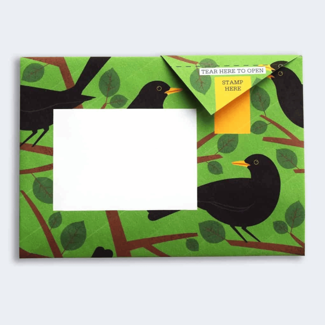 Pigeon - Dawn Chorus Briefset