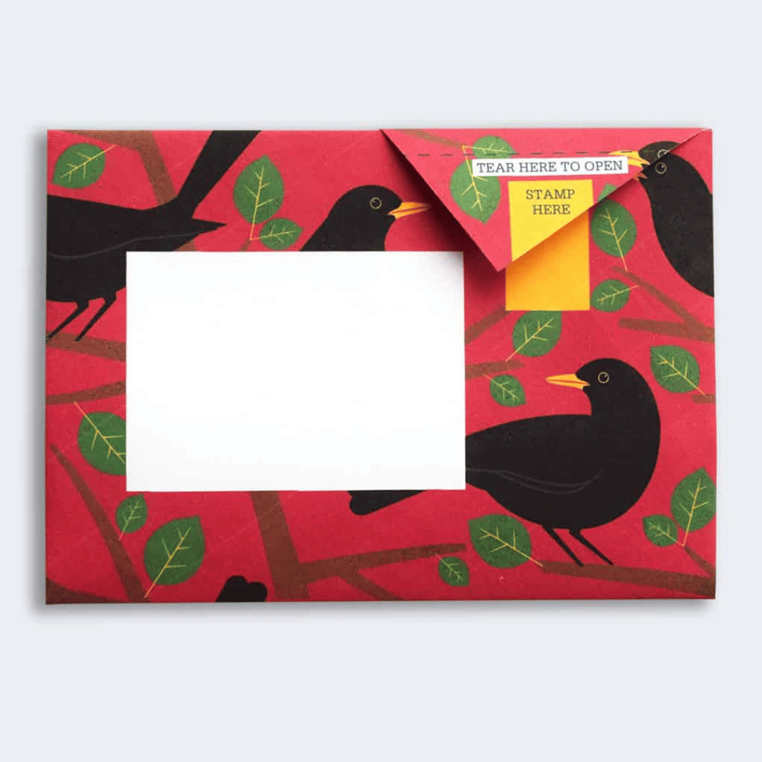 Pigeon - Dawn Chorus Briefset