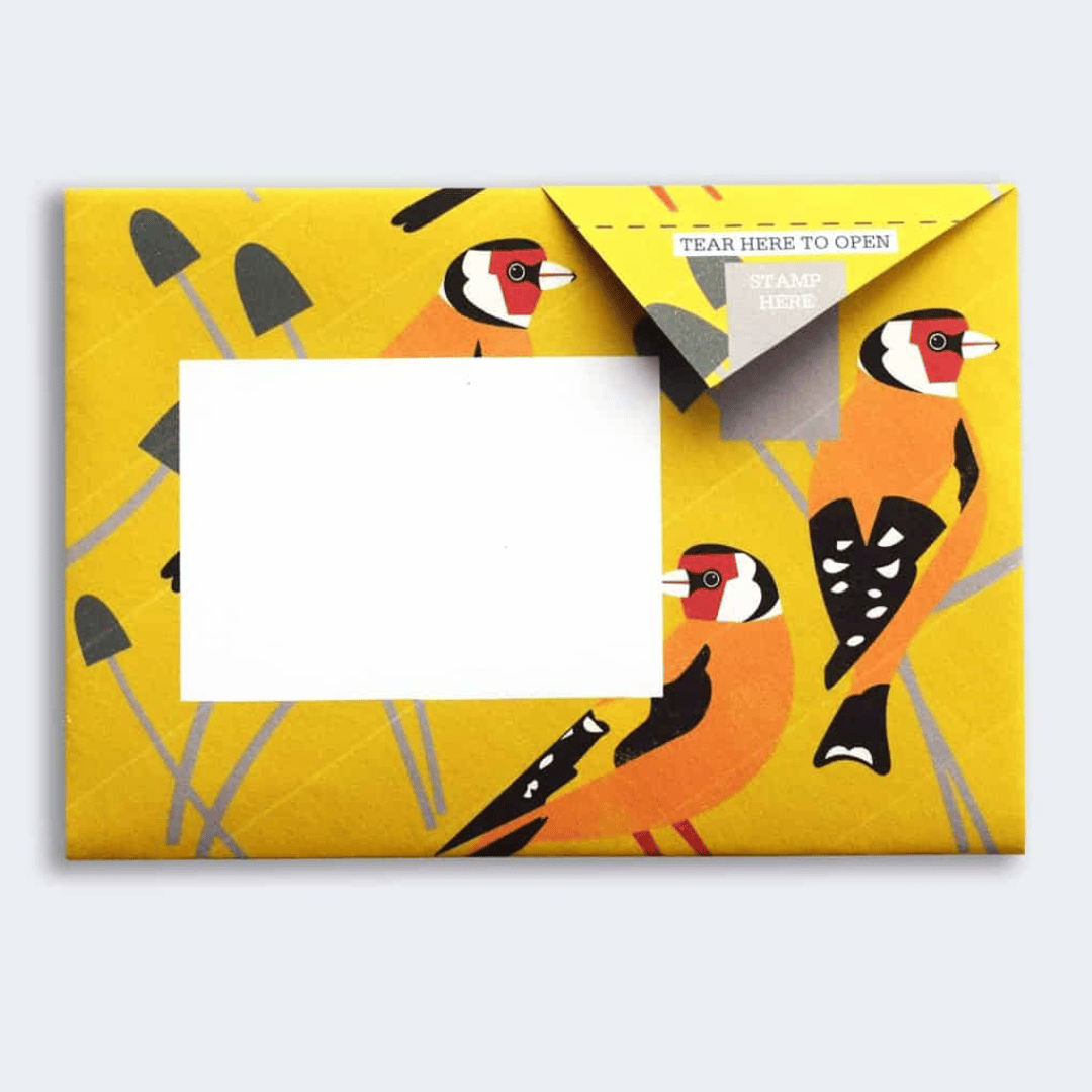 Pigeon - Dawn Chorus Briefset