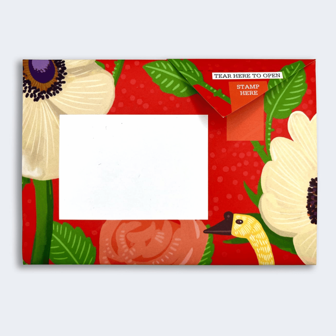 Pigeon - Dusk to Dawn Briefset