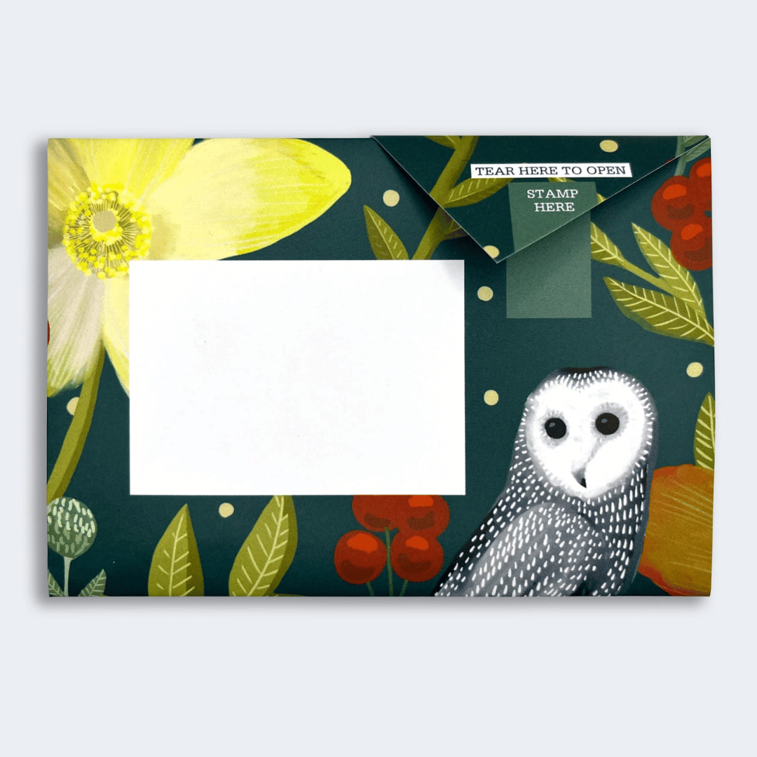 Pigeon - Dusk to Dawn Briefset
