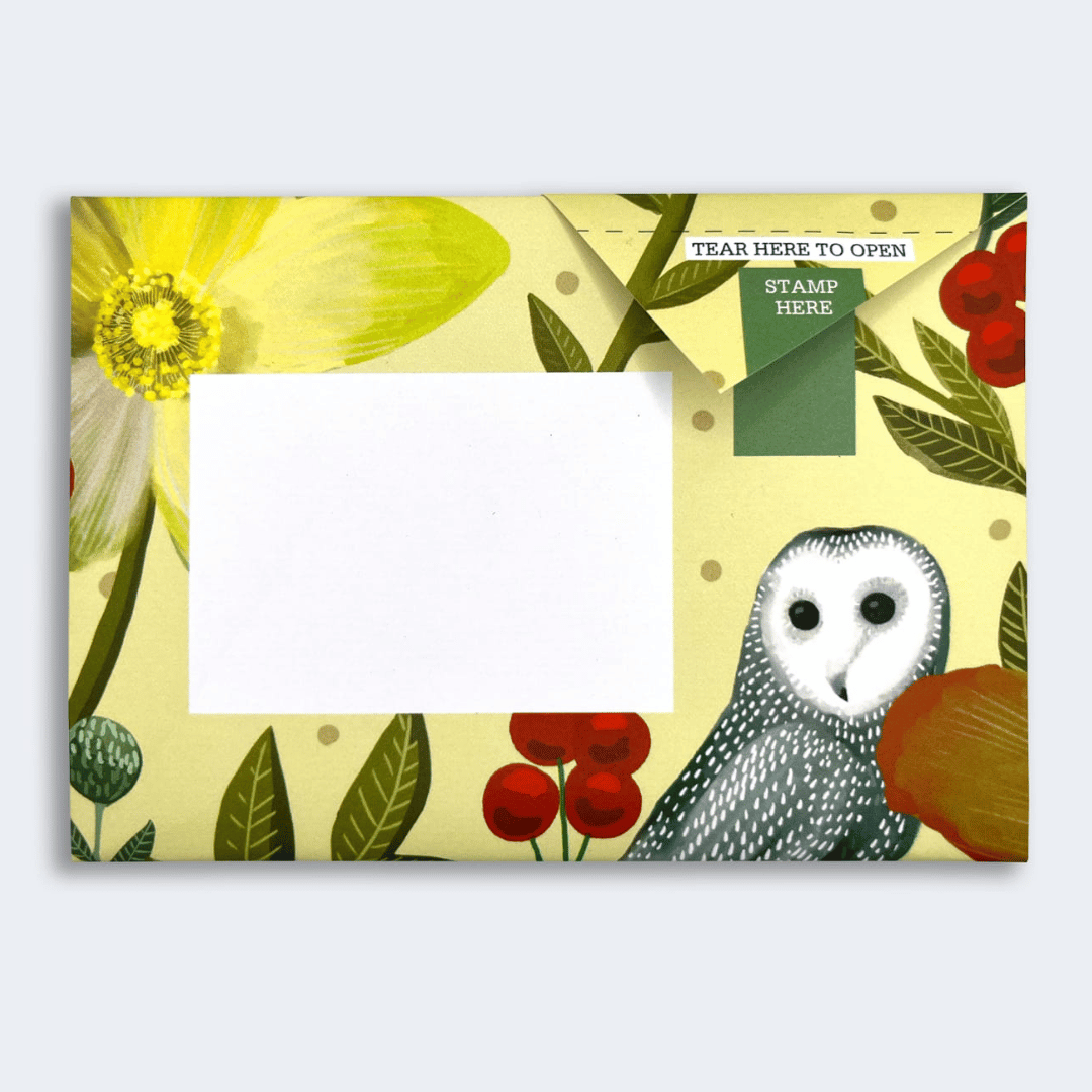 Pigeon - Dusk to Dawn Briefset