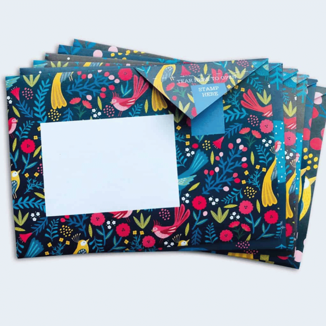 Pigeon - Magical Menagerie Briefset