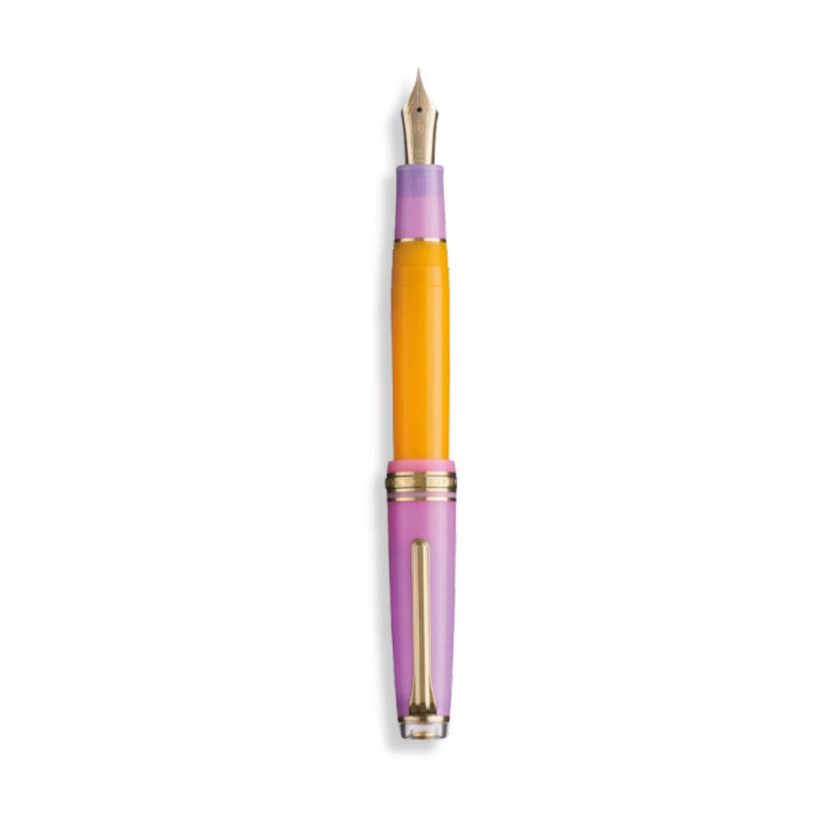 Sailor Pro Gear Fountain Pen - Acai Berry (Smoothie 2nd Edition)