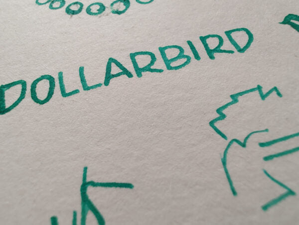 Shanghai Stationary - Dollarbird