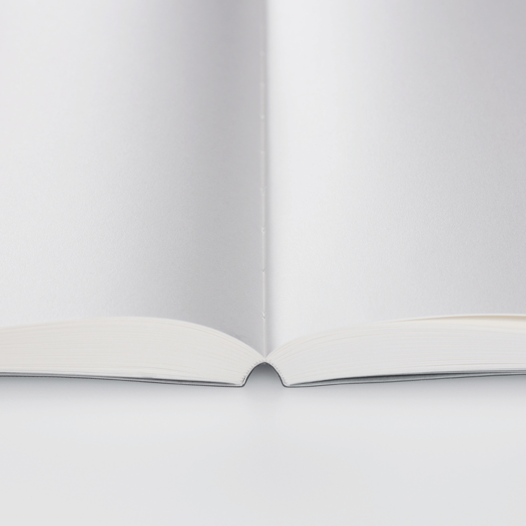 Stalogy - Editor's Series 365 Days Notebook
