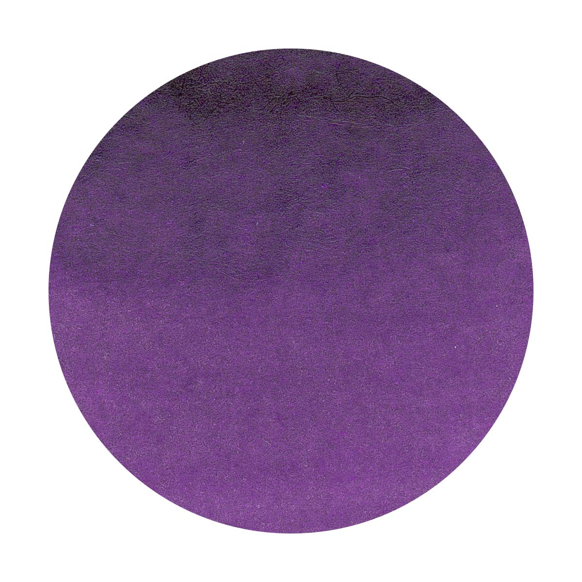 Octopus - Write and Draw - Violet Lion