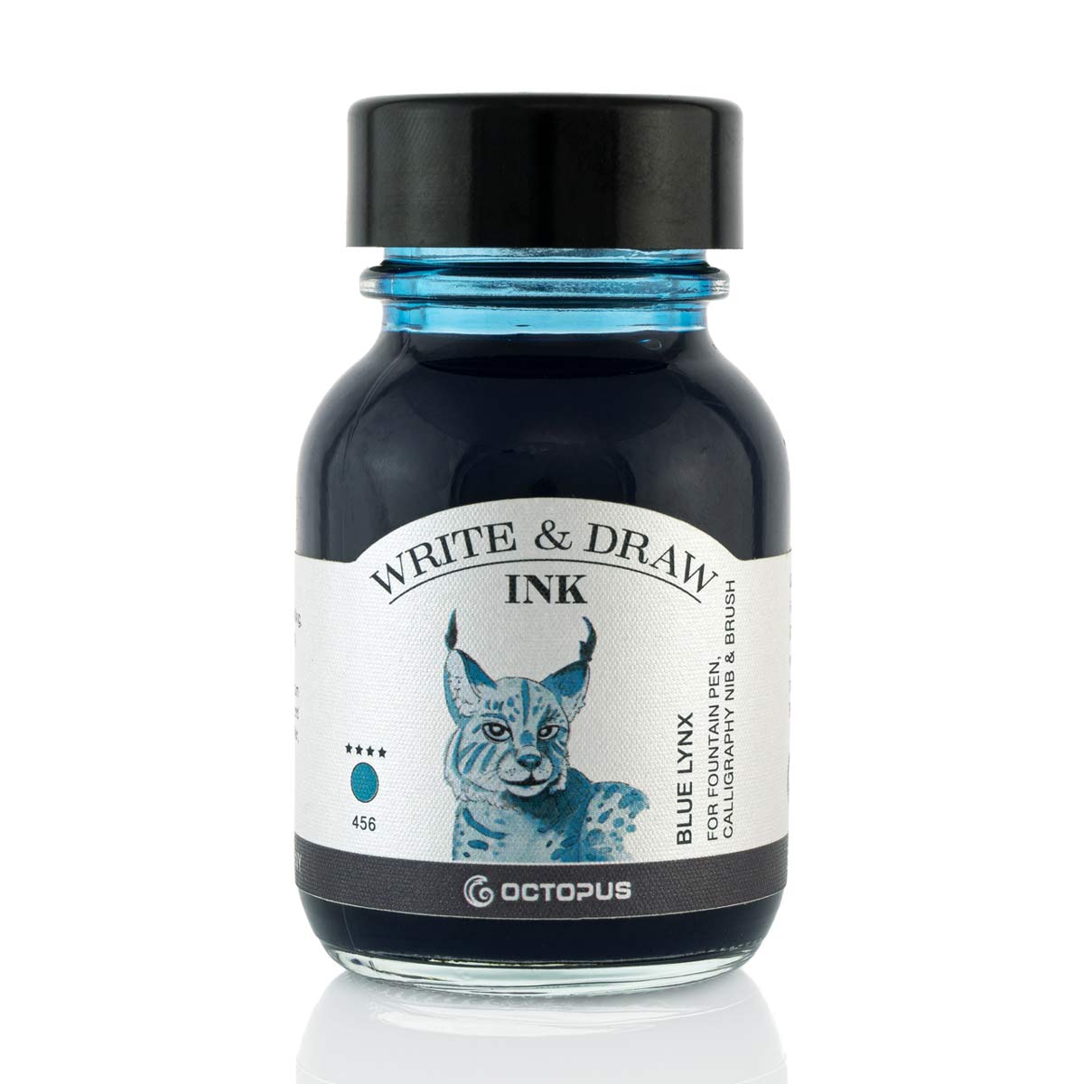 Octopus - Write and Draw - Blue Lynx