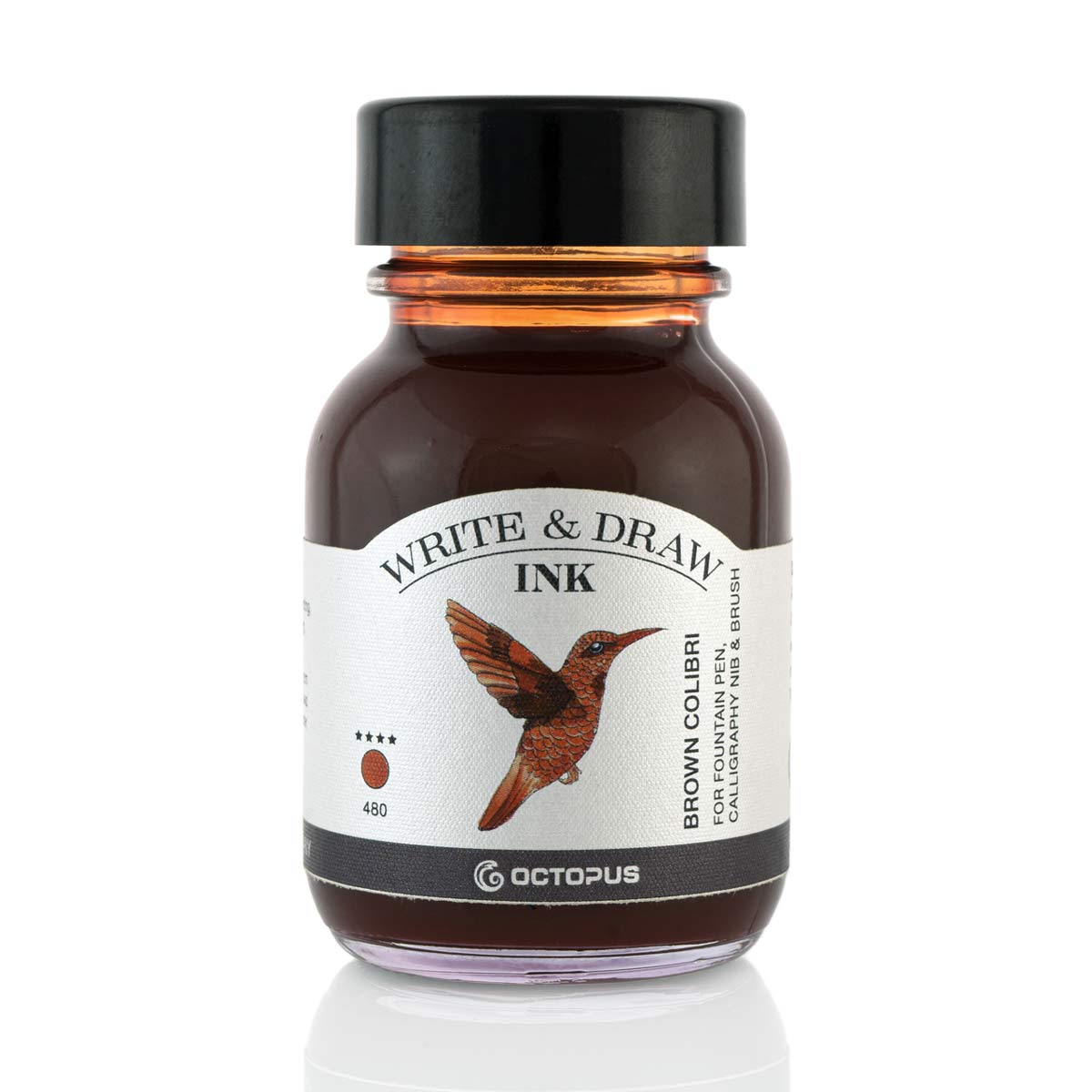 Octopus - Write and Draw - Brown Colibri