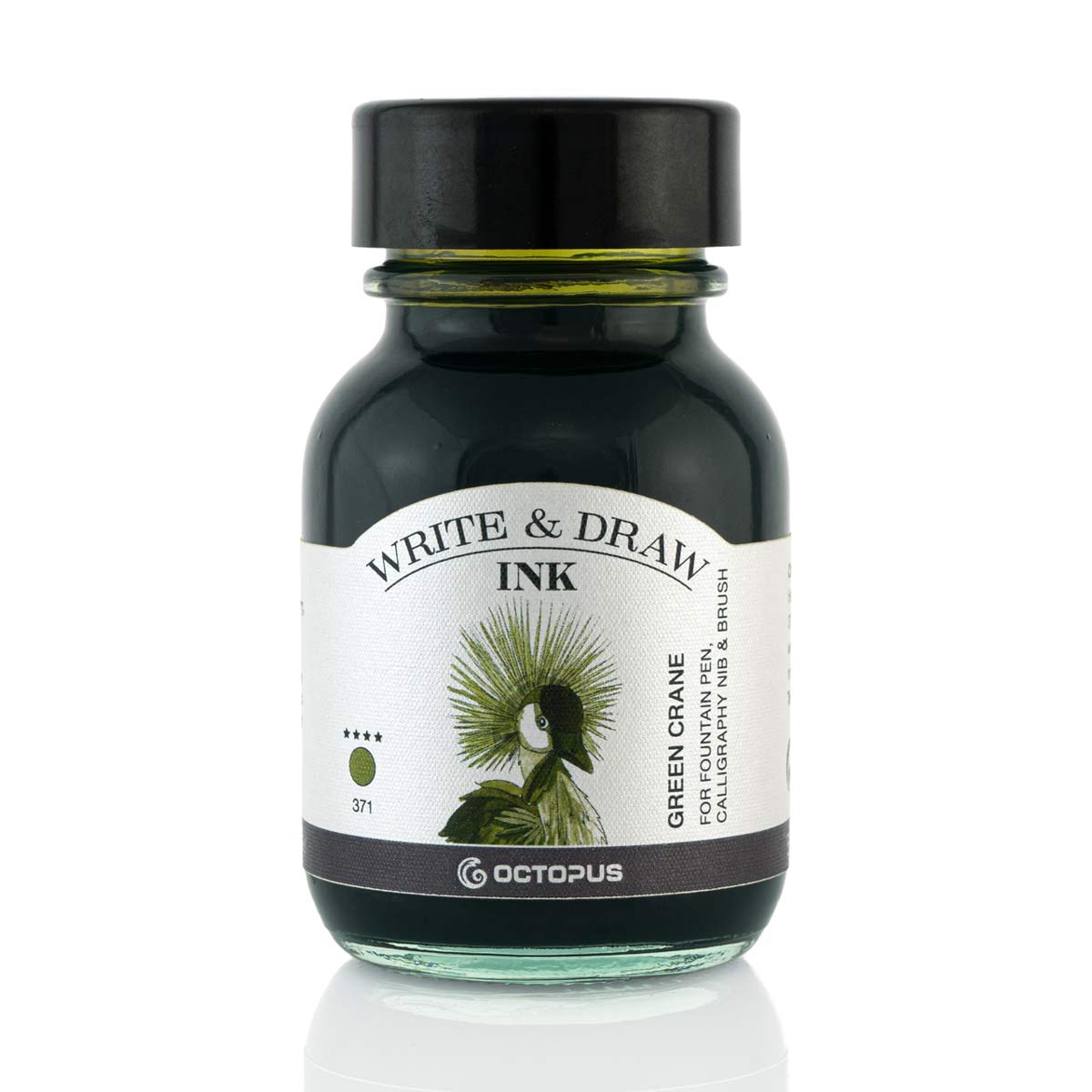 Octopus - Write and Draw - Green Crane