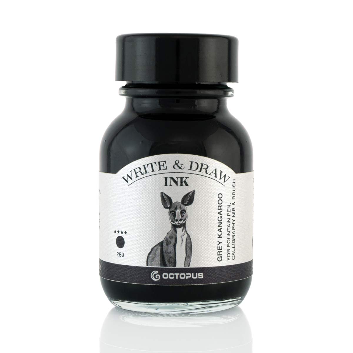 Octopus - Write and Draw - Grey Kangaroo
