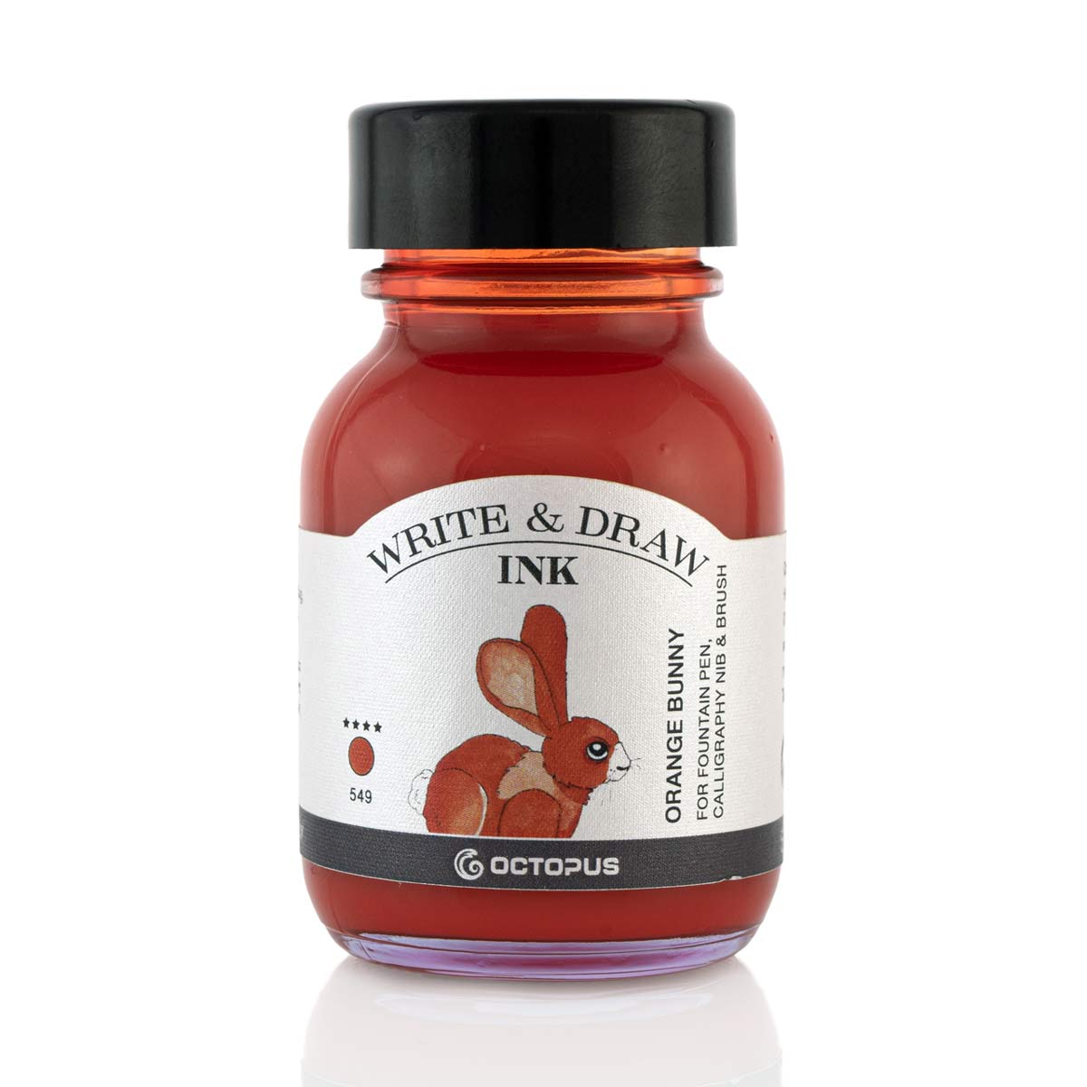 Octopus - Write and Draw - Orange Bunny