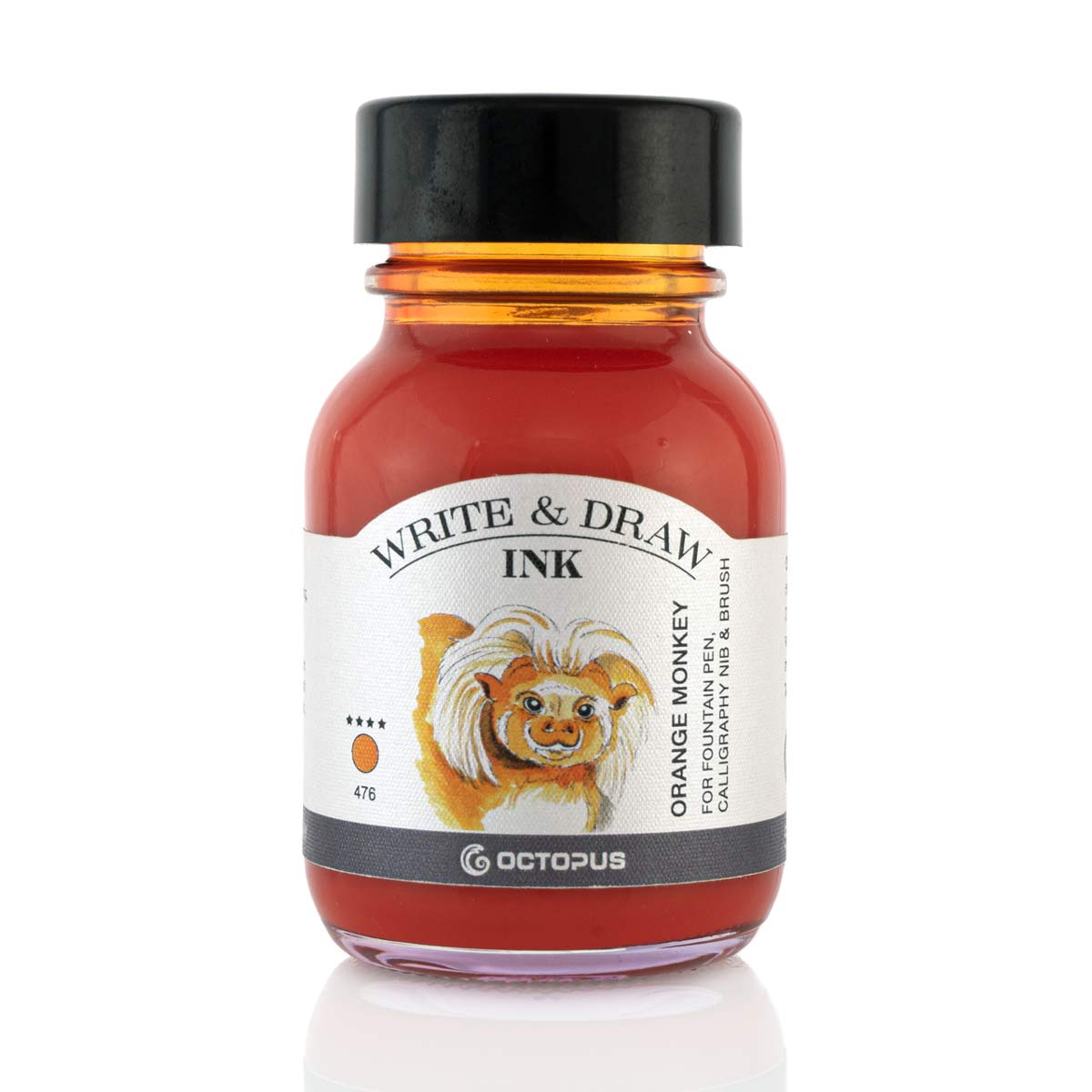 Octopus - Write and Draw - Orange Monkey