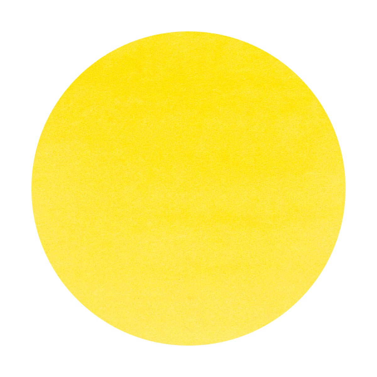 Octopus - Write and Draw - Yellow Zebra