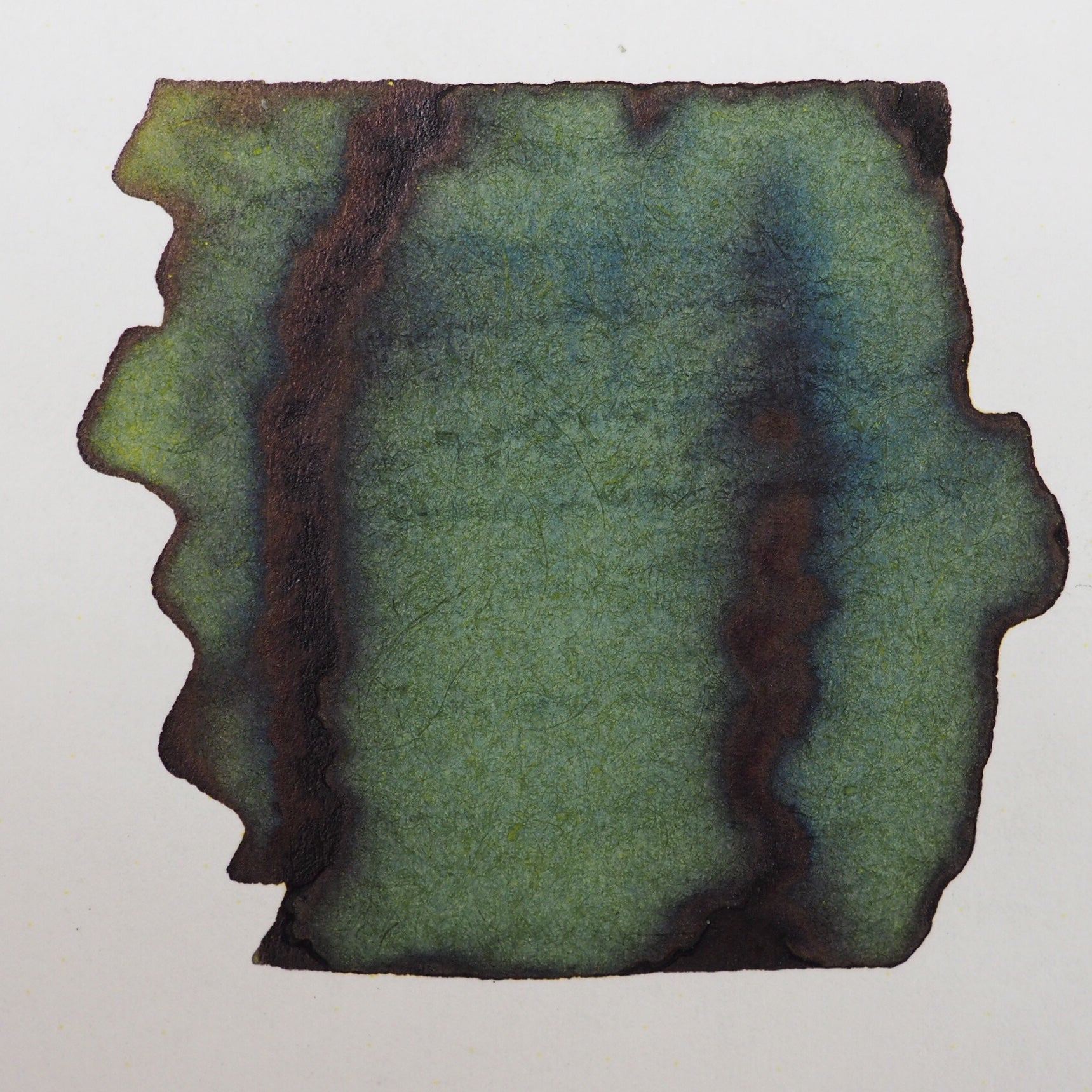 Robert Oster - Crocodile Green