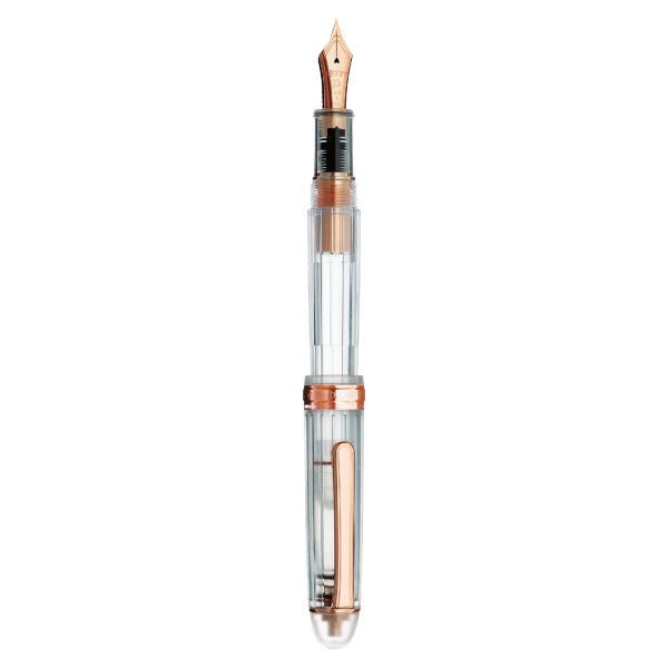 Platinum fountain pen