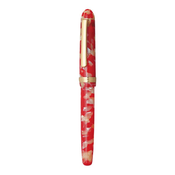 Fountain pen