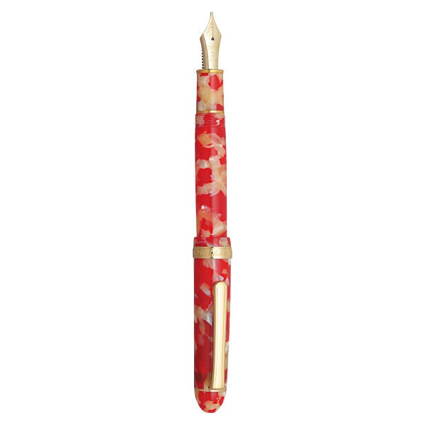 Fountain pen