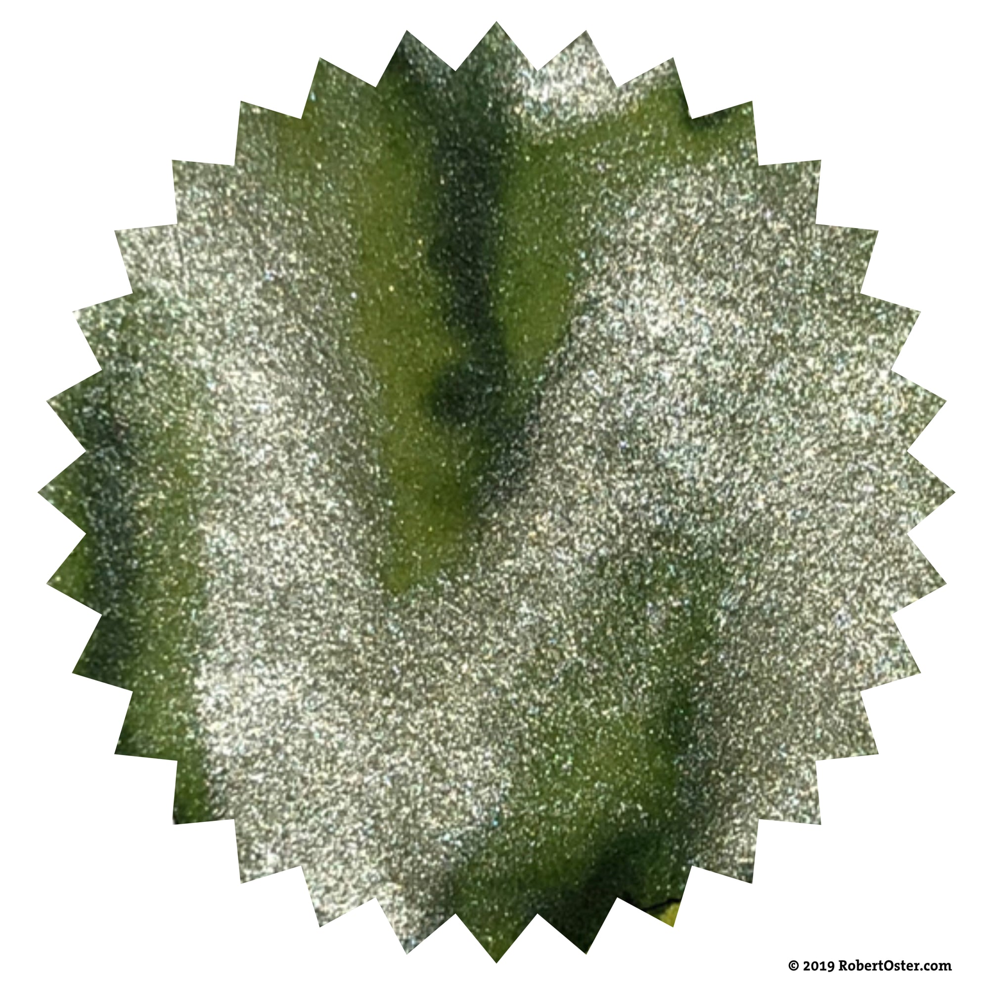 Robert Oster - Fizzy Lime (Shake'n'Shimmy)