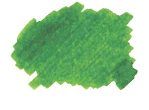 Kobe Ink No. 19 Minatogawa Lime